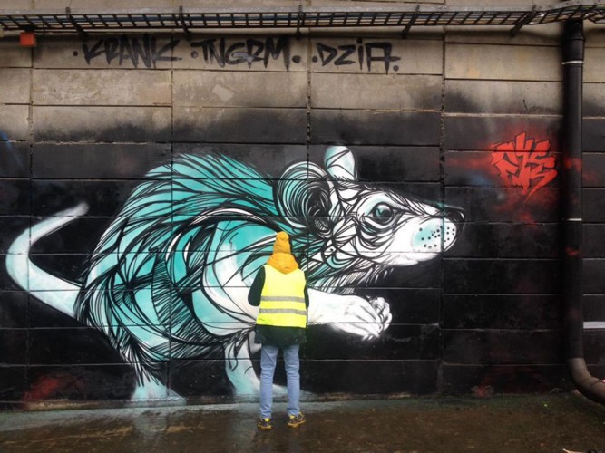 graffiti de rata en belgica