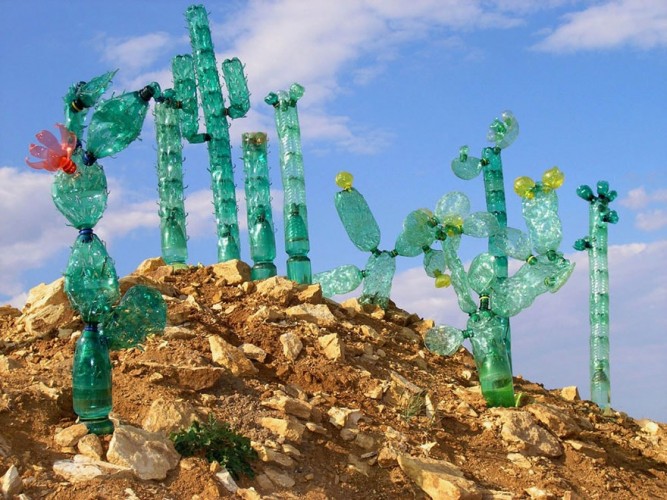 cactus con botellas recicladas