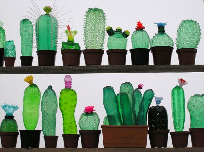cactus con botellas de plastico